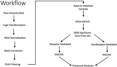 Crosstalk between Receptor and Non-receptor Mediated Chemical Modes of Action in Rat Livers Converges through a Dysregulated Gene Expression Network at Tumor Suppressor Tp53